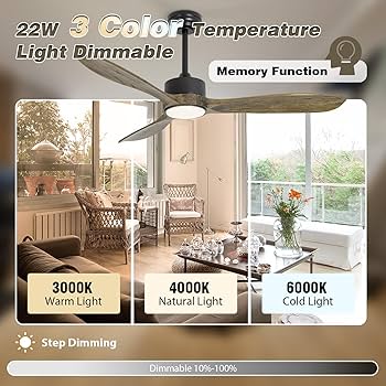 Amazon.com: VACILL Ceiling Fans with Lights and Remote
